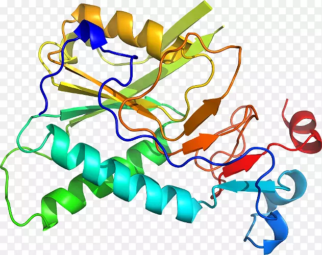 �ߵ������������-������