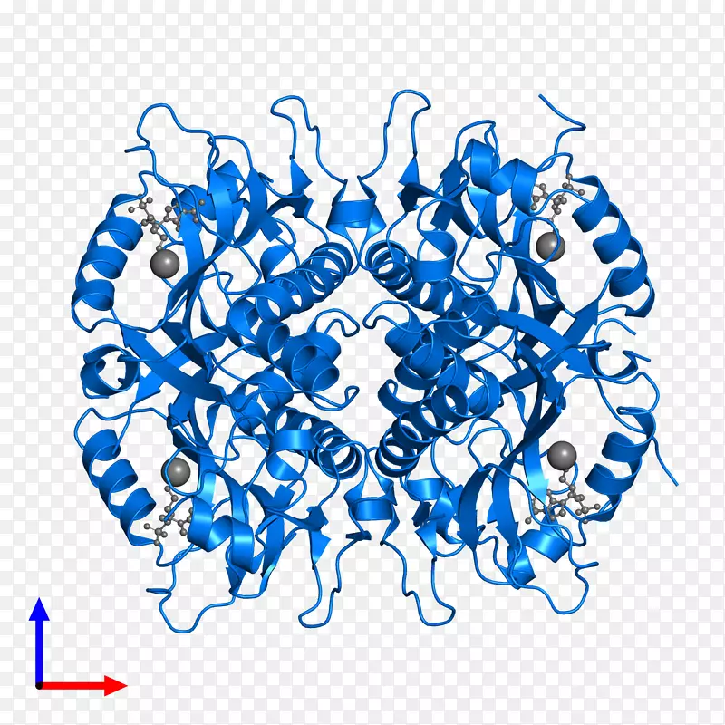 ������Ϊ����-������