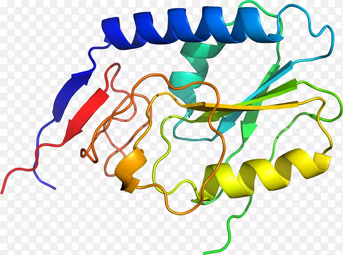 ������Ϊ���л�����������-������