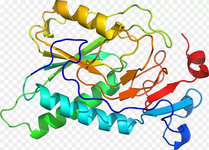 �ߵ������������-������