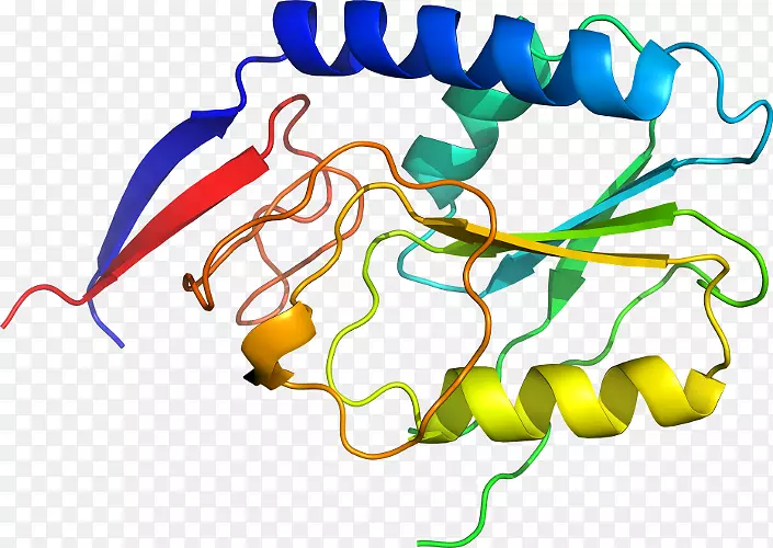 �ߵ������������-������