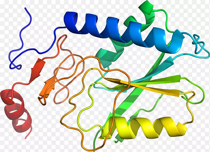 �ߵ������������-������