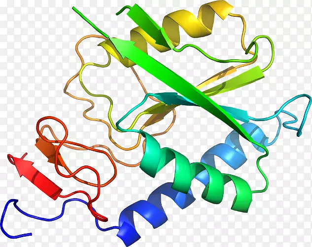 �ߵ������������-������