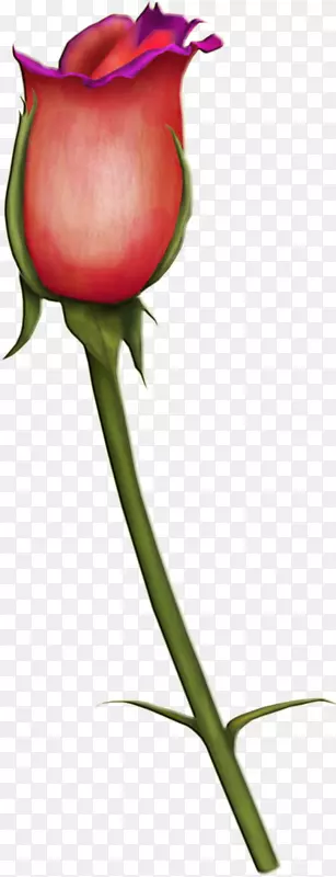 ��԰õ���л�ʥ��ֲ���������õ��-������