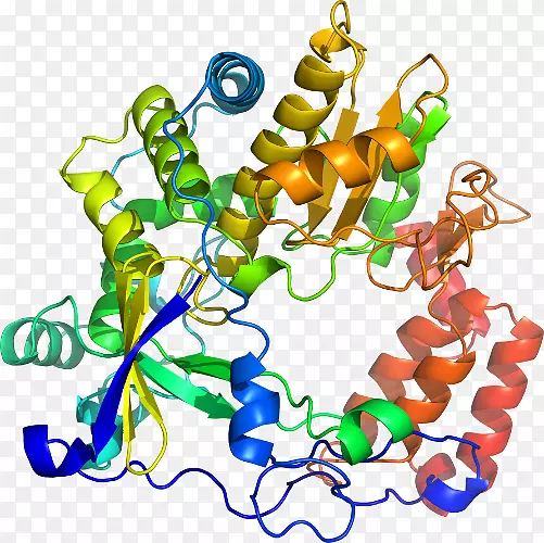 ���������鱦�л����߼�������-������