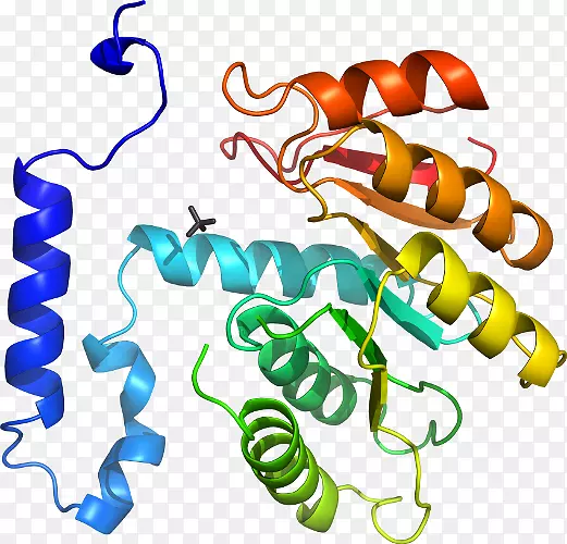 ���������л����߼�������-������