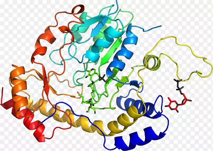 �ߵ������������-������