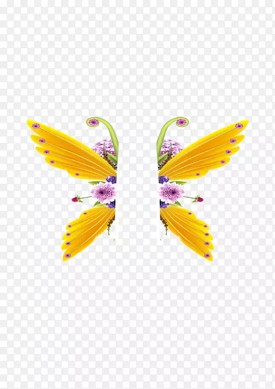 �������ػ���-һ�Գ��-������