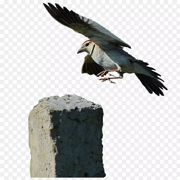 ��ȸ����-��ȸ���-������