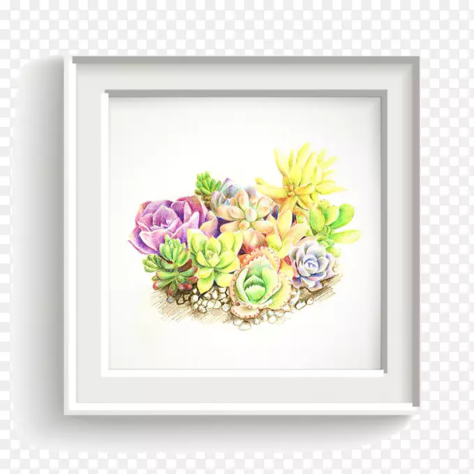 ����ֲ��ɫֲ��-������