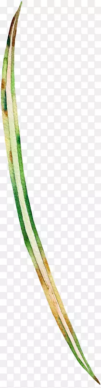 Ҷˮ�ʻ�.�ֻ�ֲ��-������