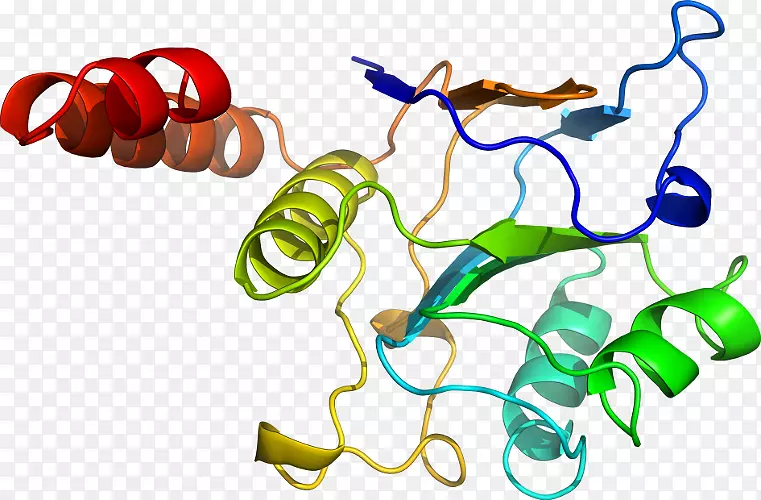 ���������л����߼�������-������