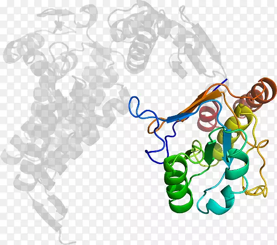 �ߵ������������-������