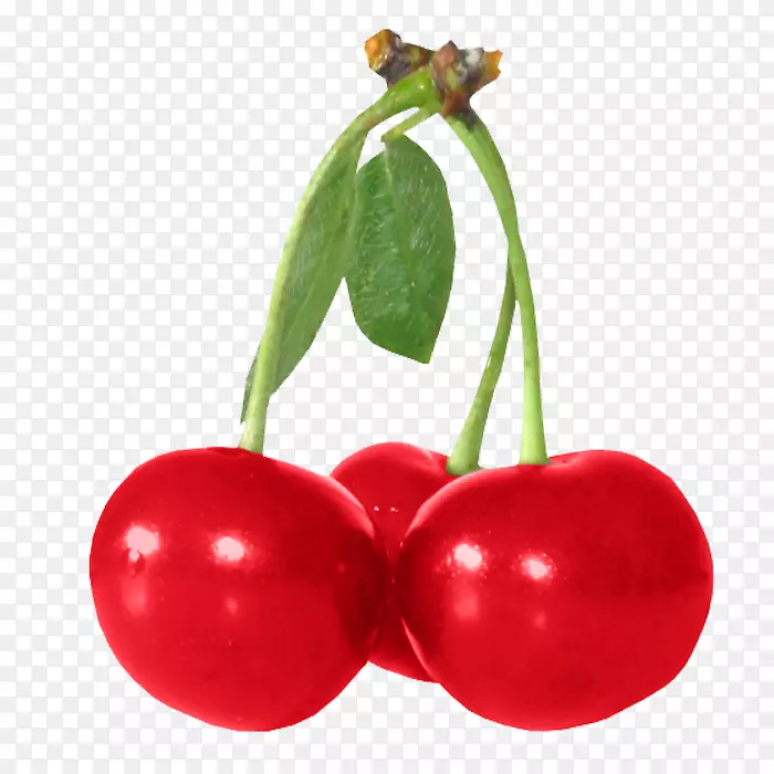 ӣ�Ұ¸���˹������-ӣ��-������