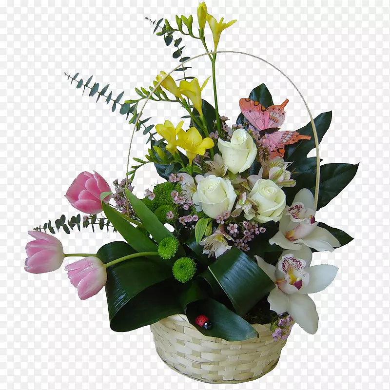 ��������л����軨��-������