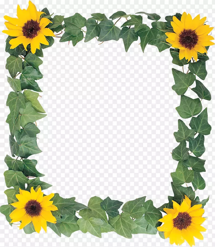 ��ͨ���տ����������.���տ���-������