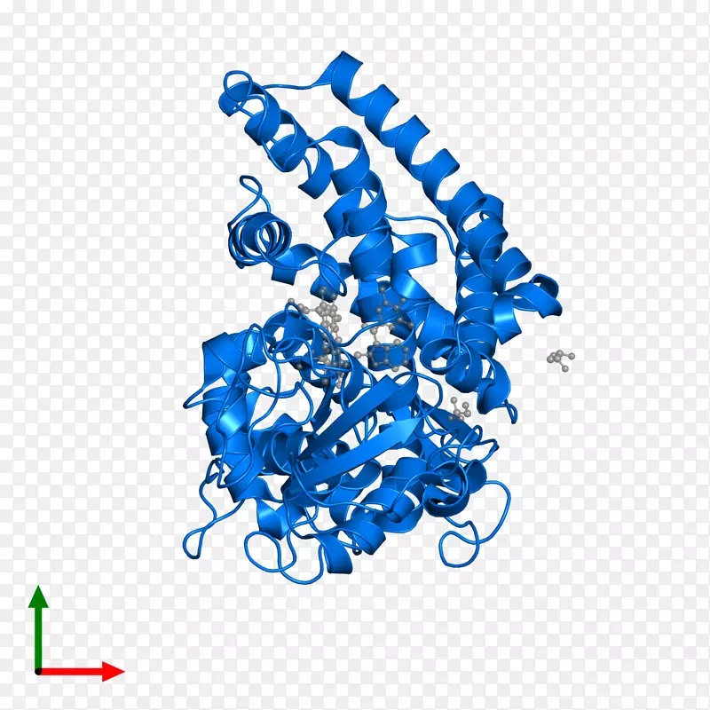 ������Ϊ���л����������-������