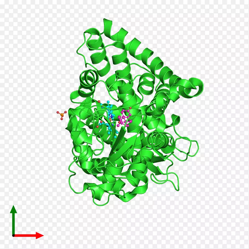 ���߼�����-��-������