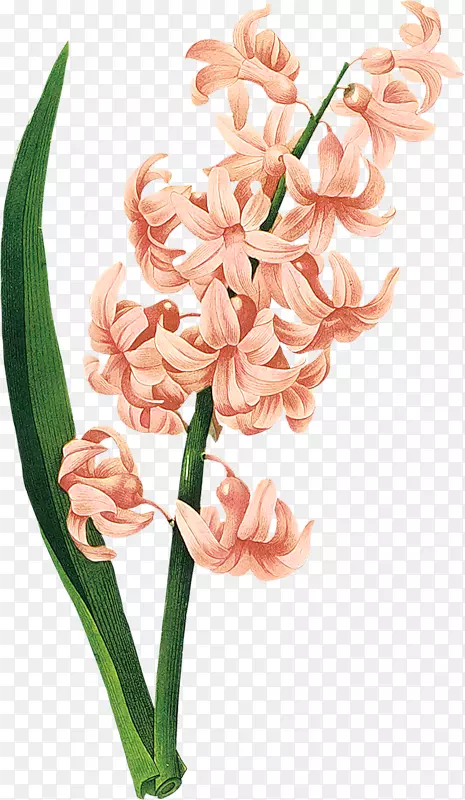 ���ѷ�����-������