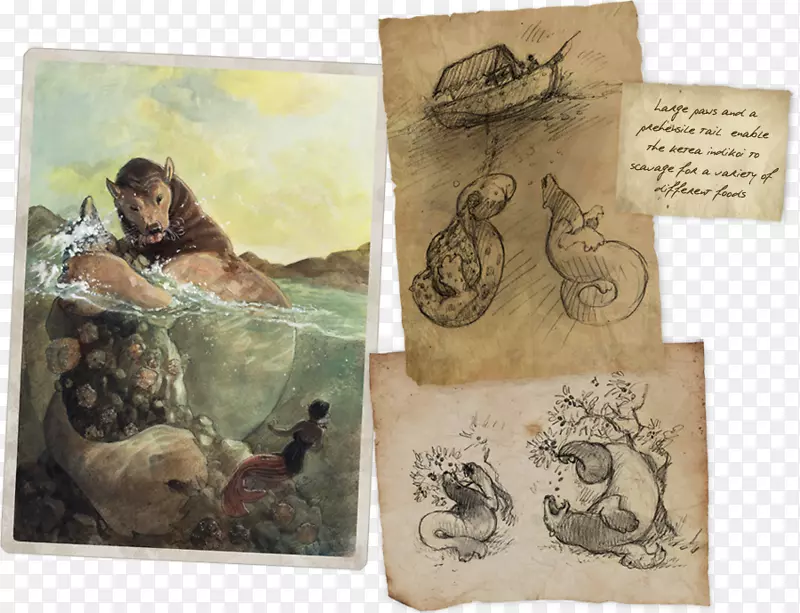 ������������Ϊ-������