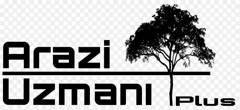 ���ж����ڰױ�־������-������