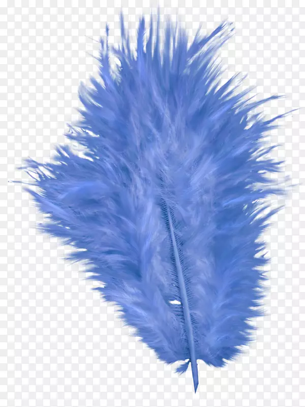 ������ë-������