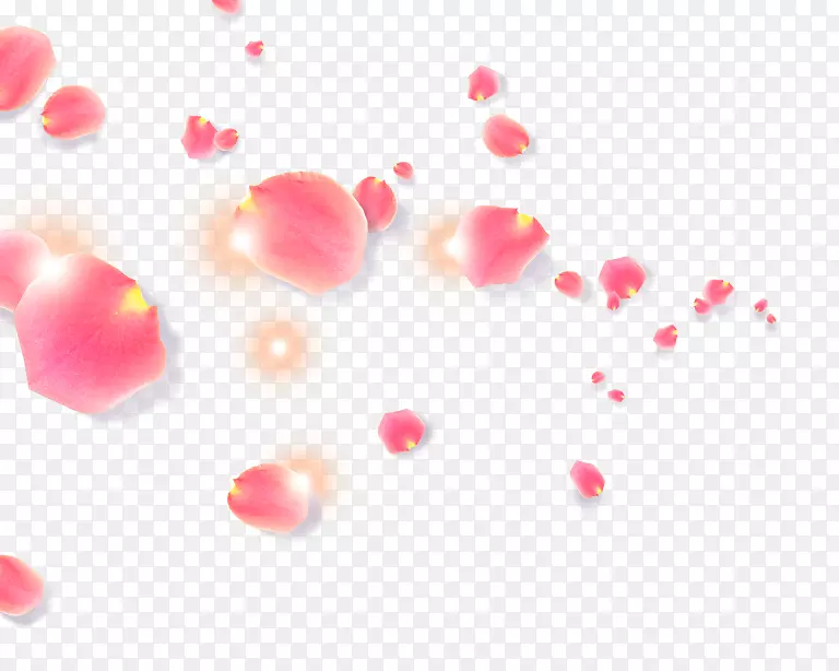 ���껨��Ƭ÷���һ��仨-������