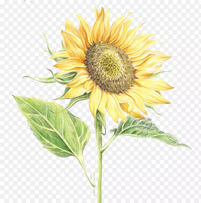 ��ͨ���տ�ˮ�ʻ��ֻ����տ�-������