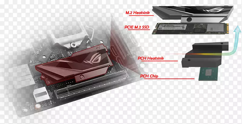 ���ϵ������-������