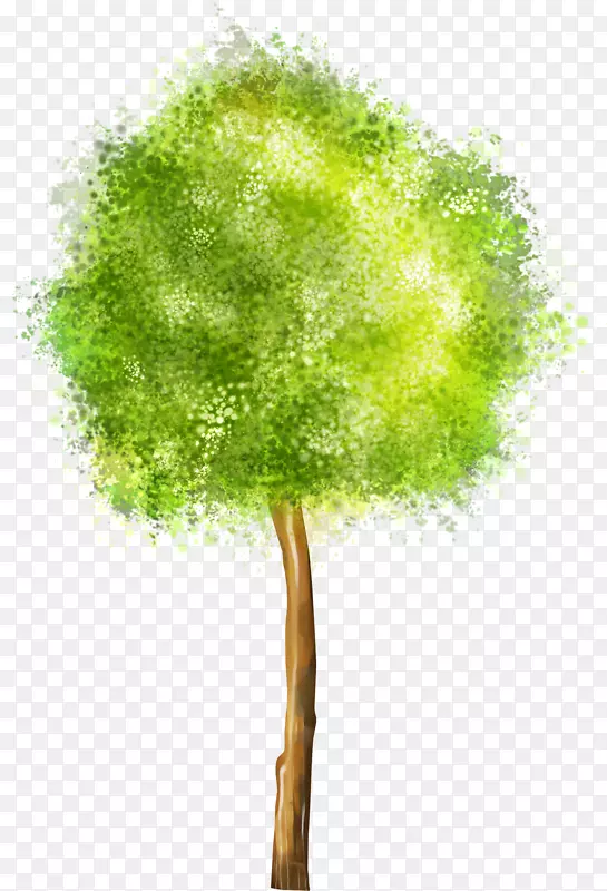 �ڻ�����ͼ��-������