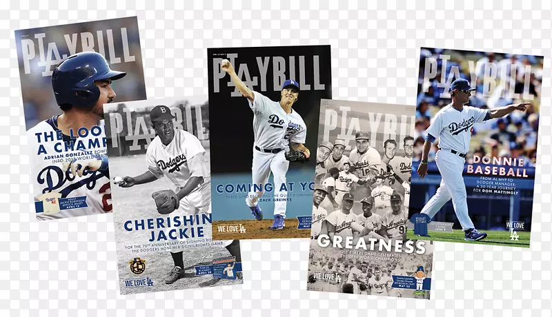 ���������ھ�����-��ɼ�������-������