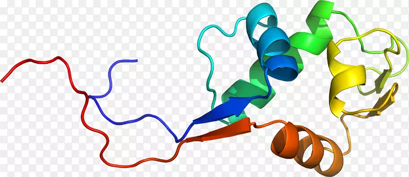 �л���ƽ����Ƽ��������-������