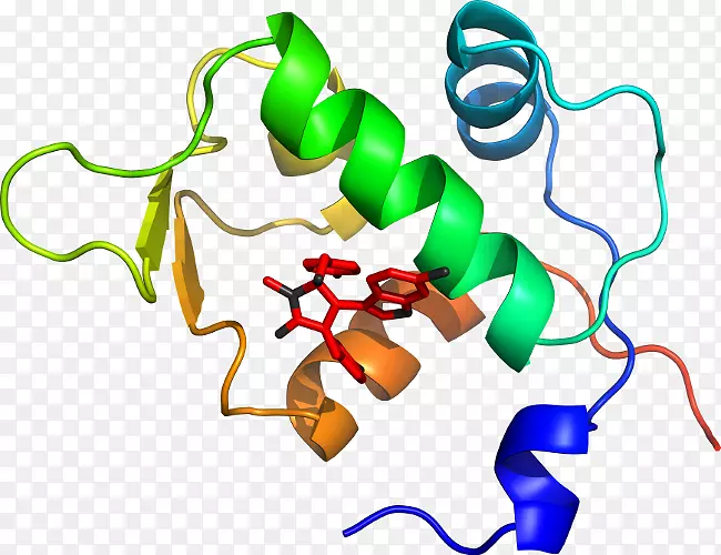 �����߶����������-������