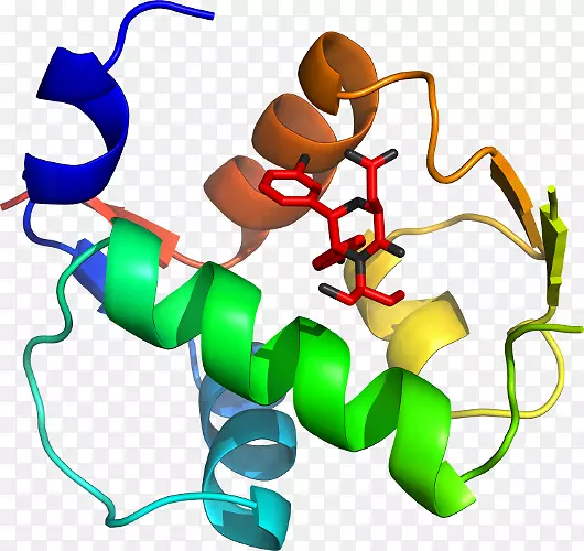 �л�����������-������