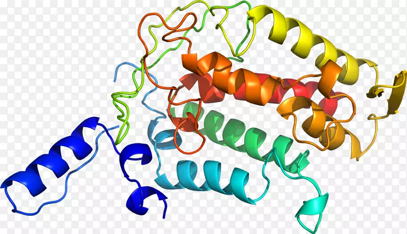 �����߶����������-������