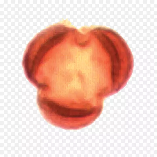 ��дˮ��-������