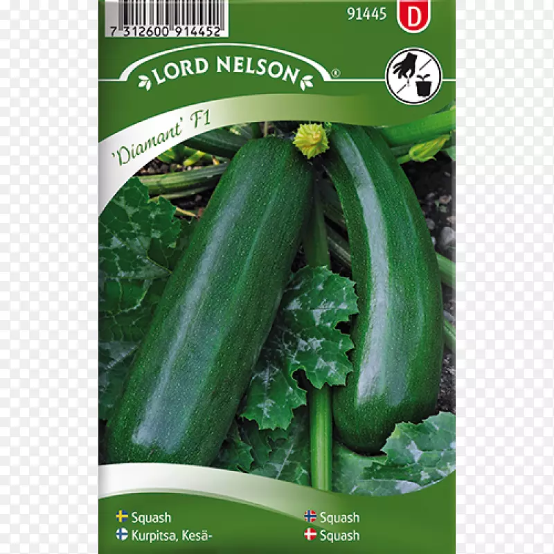 �ƹ��ϹϽ�����«��-������