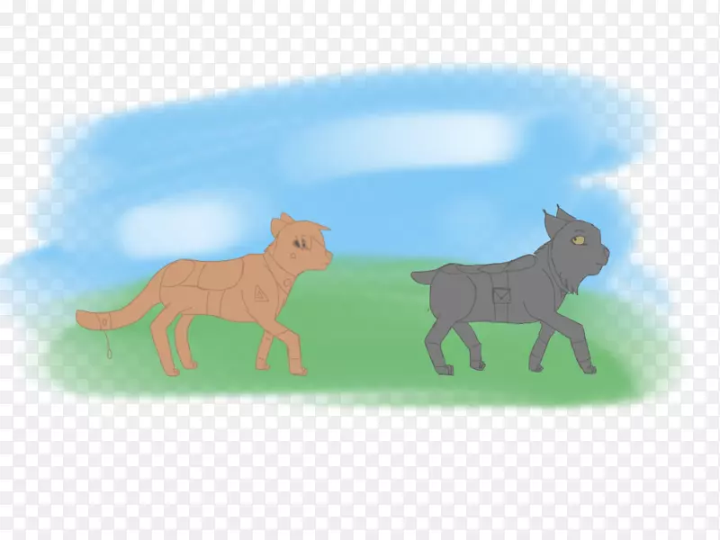 è��Ȯ����è-������