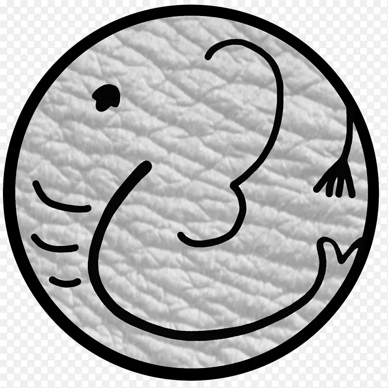 Ц��Ȧ�����������-Ц��-������