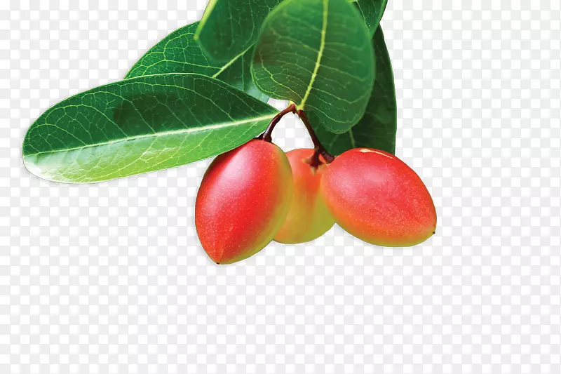 ��ȻʳƷ-������-������