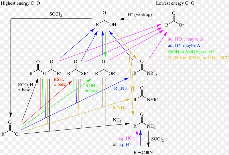 ֱ�ߵ����-������