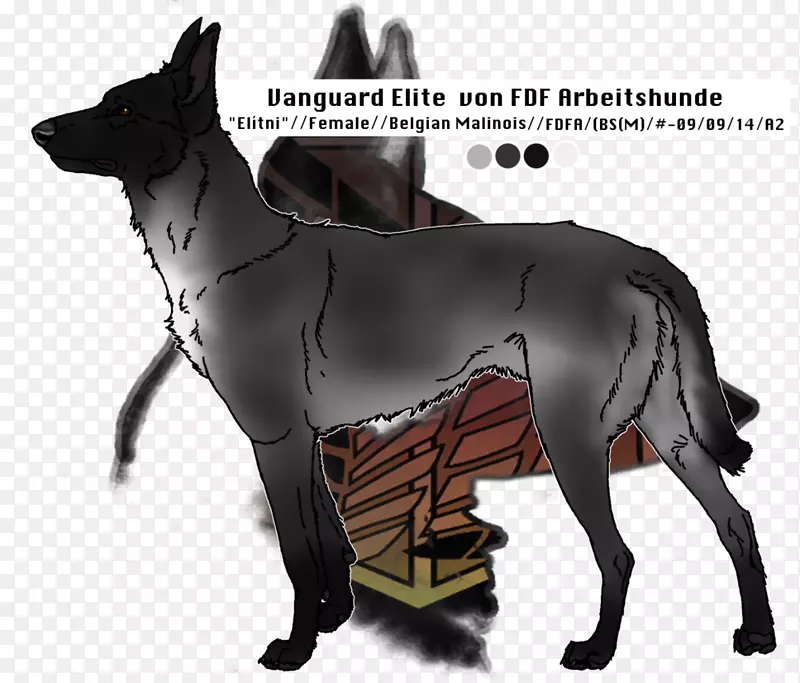 Ȯ�ֱ���-ϡ��Ʒ��Ȯ-������