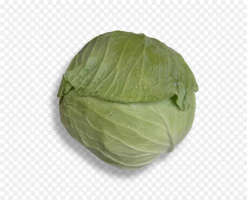 ʮ�ֻ����߲�-������