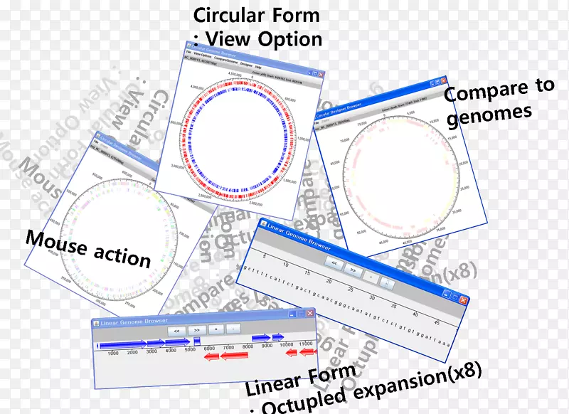 ���̲�����-������