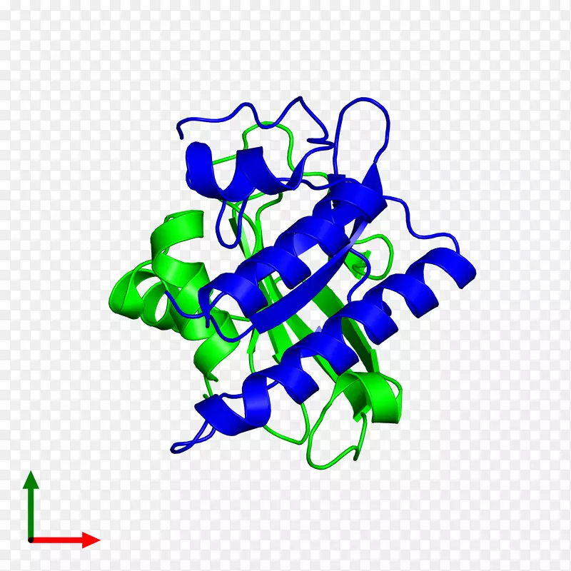 ƽ����Ƽ�����.���-������