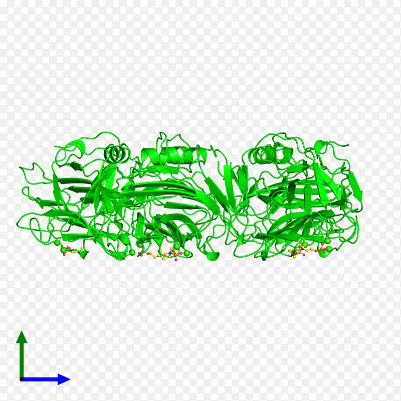 �����������-������