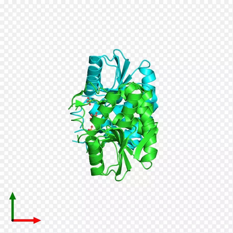 �������-������