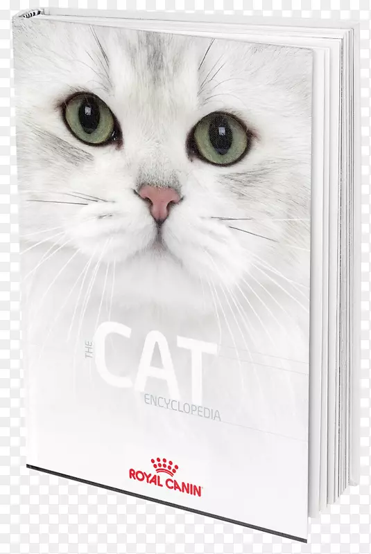 ����è�����ö�ëè����-Сè-������