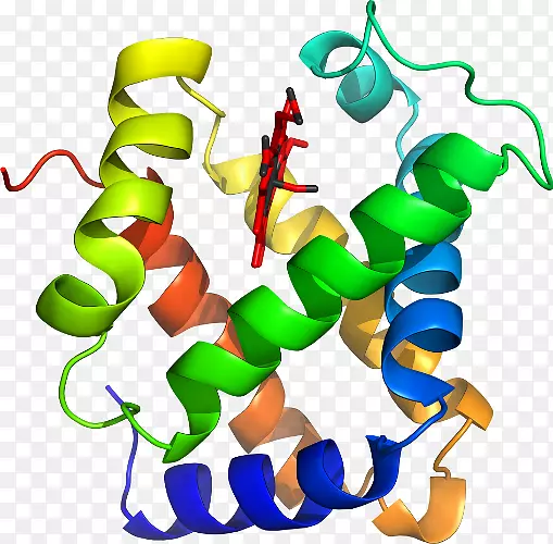 �����߶����������-������