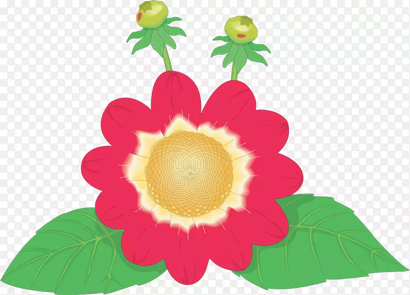 ����ֲ�����ɫˮ��������-��ʿ��-������